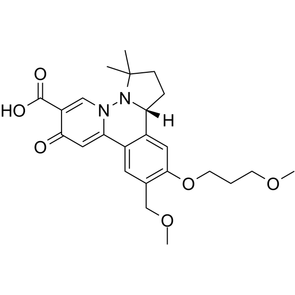 HBV-IN-19 2241575-59-5